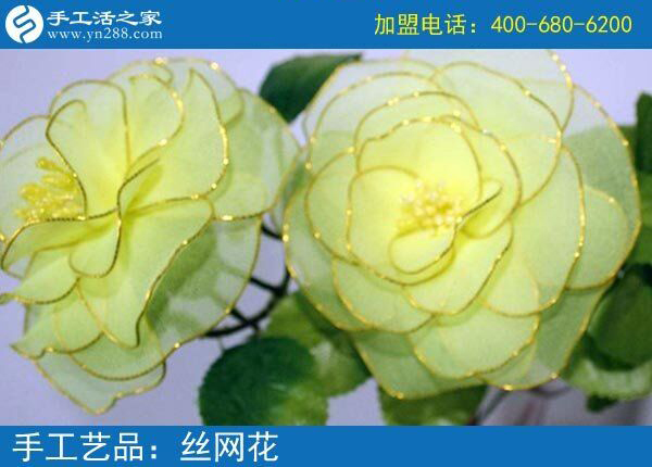 你見過這么漂亮的絲網(wǎng)花嗎？純手工制作廢物利用 花的世界花的海洋！(圖4)