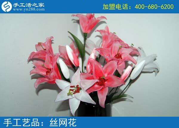 你見過這么漂亮的絲網(wǎng)花嗎？純手工制作廢物利用 花的世界花的海洋！(圖3)