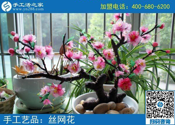 房?jī)r(jià)貴買不起，她卻不放棄，3年了，黑龍江雞西唐女士用這個(gè)追逐夢(mèng)想
