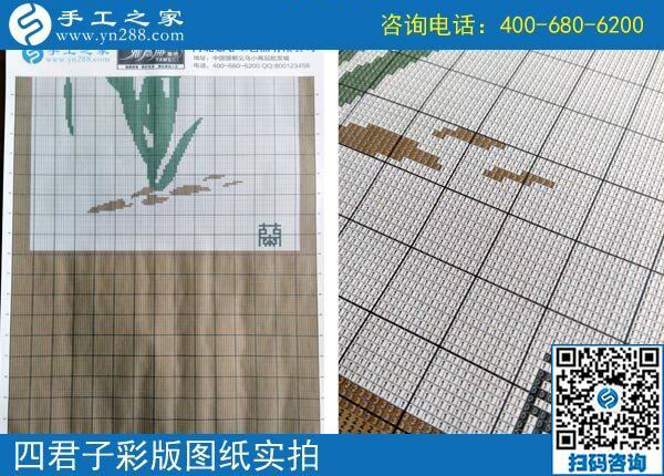 手工之家雅薇麗珠繡圖紙（梅蘭竹菊）新款，彩色升級(jí)版！(圖1)