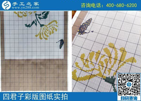 手工之家雅薇麗珠繡圖紙（梅蘭竹菊）新款，彩色升級(jí)版！(圖4)