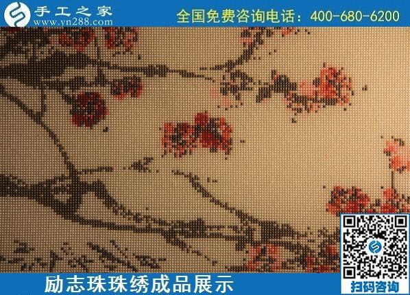 6月9日，沒有年齡限制，做手工活掙錢，選簡單好做、技術(shù)門檻低的外發(fā)加工手工活，勵志珠珠繡成品實(shí)拍