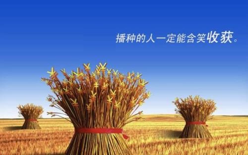 （干貨）分享：判斷在家做的手工活加工項(xiàng)目的正規(guī)性，這幾個(gè)角度要注意(圖3)