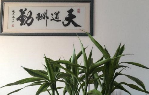 （干貨）分享：判斷在家做的手工活加工項(xiàng)目的正規(guī)性，這幾個(gè)角度要注意(圖5)