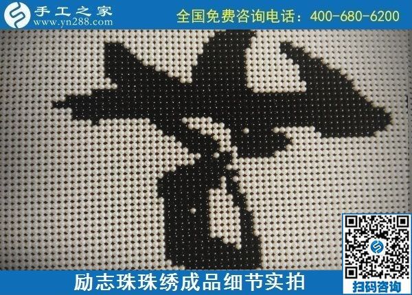 9月15日，想在家做手工活掙錢，越來越多的人選擇這個(gè)可以寄到家做的手工活，勵(lì)志珠珠繡成品細(xì)節(jié)實(shí)拍