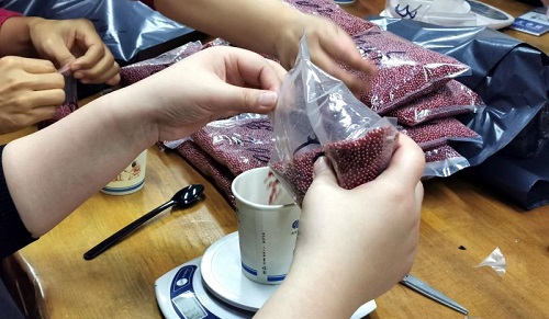 加班到夜里十點(diǎn)，要讓珠繡外發(fā)材料盡快到加工人員的手中(圖5)