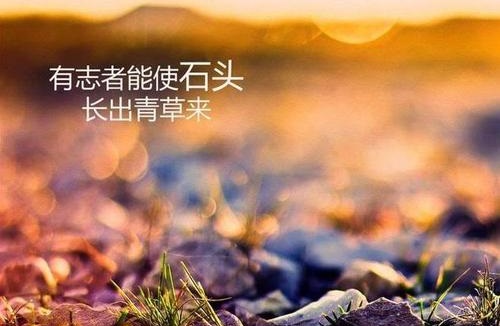 做微商賺不到錢(qián)？你是不是犯了這個(gè)錯(cuò)誤(圖1)