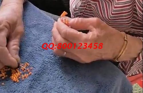 在家做手工活掙錢，這里的珠繡外發(fā)加工手工活很受歡迎(圖1)