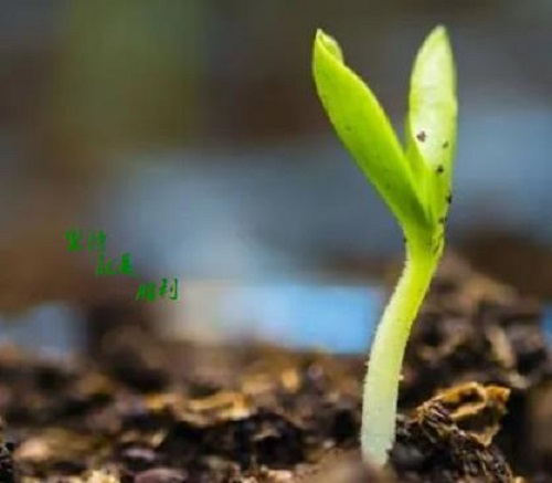 這五點(diǎn)銷售心理做好了，微商也就會(huì)越來越成功(圖1)