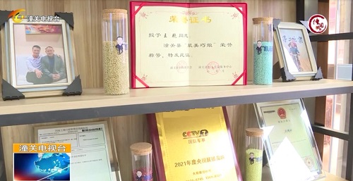 用心去種，才能成就一棵能擋雨納涼的大樹 --- --- 手工之家植樹節(jié)有感
