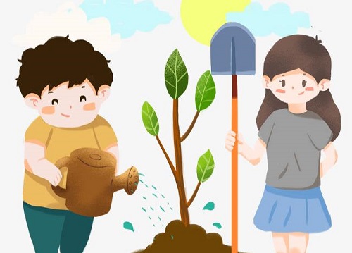 用心去種，才能成就一棵能擋雨納涼的大樹 --- --- 手工之家植樹節(jié)有感