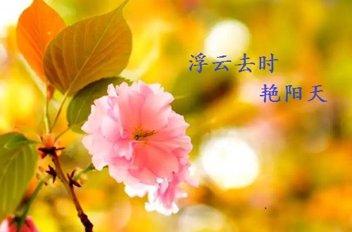 不一樣的五·一，用一樣的心去努力(圖6)