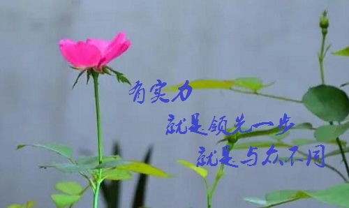 手工活接單正規(guī)平臺，有實力的手工廠家是啥樣的？