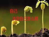 能在家做的手工副業(yè)，你是否能做純手工項目掙錢？