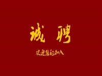 千百匠全國運營中心招人啦?。?！