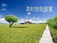 新型農(nóng)村創(chuàng)業(yè)小項(xiàng)目，會(huì)拍短視頻就能賺錢(qián)，兼職副業(yè)都可以做