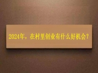2024年，在村里創(chuàng)業(yè)還有什么好機會？
