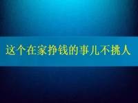 這個在家掙錢的事兒不挑人，2024要掙錢，你我就靠它了