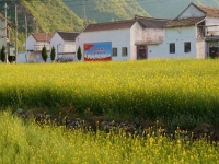 適合農(nóng)村個(gè)人在家創(chuàng)業(yè)的項(xiàng)目，好做的純手工有兩份收入