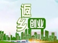除了種地，不外出打工，在農(nóng)村還能怎樣掙錢？很多人低成本創(chuàng)業(yè)做手工傳承官