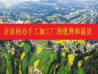 發(fā)掘農(nóng)村優(yōu)勢，讓返鄉(xiāng)創(chuàng)業(yè)開手工加工廠成為更多人掙錢增收的好辦法
