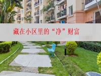 在城里創(chuàng)業(yè)辦純手工加工廠，就是找到了藏在小區(qū)里的“凈”財富