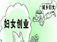 農(nóng)村創(chuàng)業(yè)、城市創(chuàng)業(yè)，家庭主婦等女士做手工傳承官都是自帶優(yōu)勢(shì)