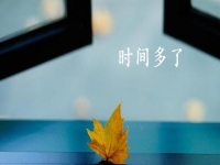 開學(xué)季，做手工傳承官掙錢的家庭婦女、寶媽等女士更多了，因?yàn)橛袝r(shí)間、能掙錢