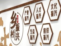 不打工，在農(nóng)村做什么好？不負時光，純手工活兒整出好“錢”景