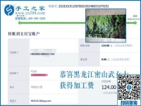 這個(gè)彩珠繡串珠手工活真是正規(guī)供料的手工活。黑龍江密山武女士說