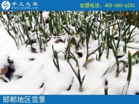 雪天串珠繡，足不出戶在家賺錢！邯鄲魏縣賈女士的手工活兼職記