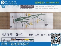 手工之家雅薇麗珠繡圖紙展示：一學(xué)就會(huì)，一看就懂的手工活！