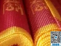 做手工活加工事業(yè)，沒有任何門檻，男士也很青睞