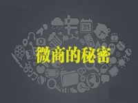 做微商怎樣才能賺到錢，行業(yè)大佬說建設(shè)銷售體系很重要