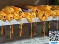 選擇可以寄到家做的手工活，大家都說常年有活兒、產(chǎn)品成體系的勵志珠不錯