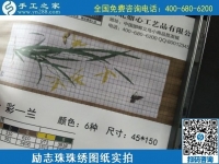 8月28日，這里的珠繡外發(fā)手工活是真的嗎？帶回家做的前景如何？手工之家勵(lì)志珠珠繡手工加工相關(guān)實(shí)拍