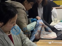 2月26日，在家做手工活靠譜，創(chuàng)意珠繡串珠手工活外發(fā)加工項目就來十多年的手工企業(yè)，圖為手工之家倉儲部日常工作剪影