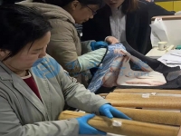 在家庭工作做手工活外接串珠子，常年輕松快樂把錢賺